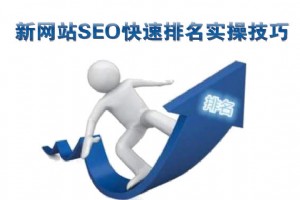 新网站SEO快速排名实操技巧